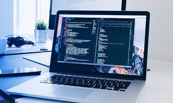 Software Development